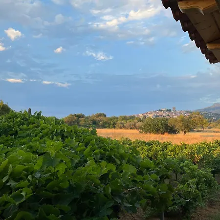 Gozzadini Vineyard! Villa Avlonarion Exterior photo