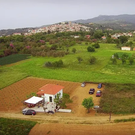 Gozzadini Vineyard! Villa Avlonarion Exterior photo