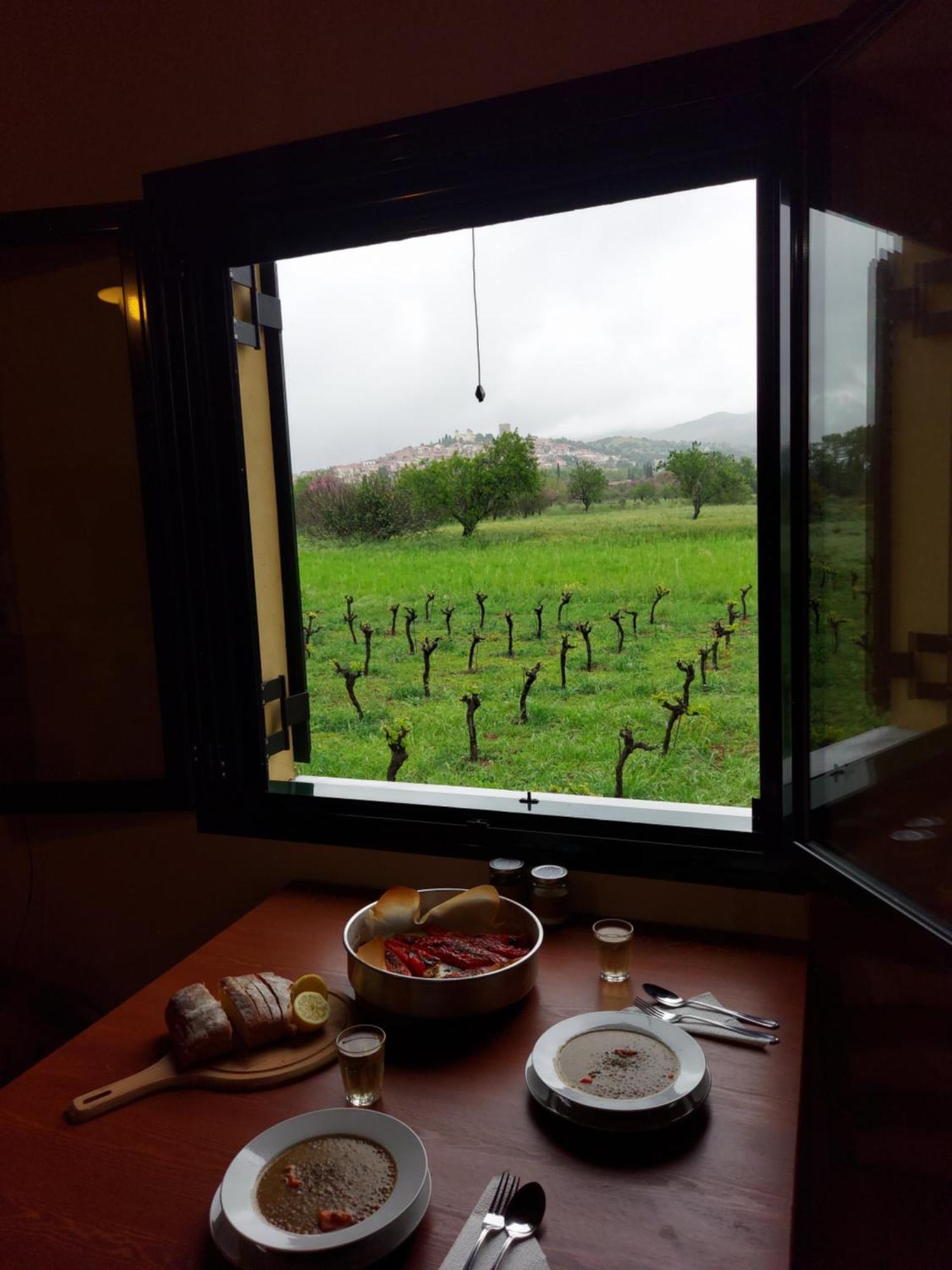 Gozzadini Vineyard! *