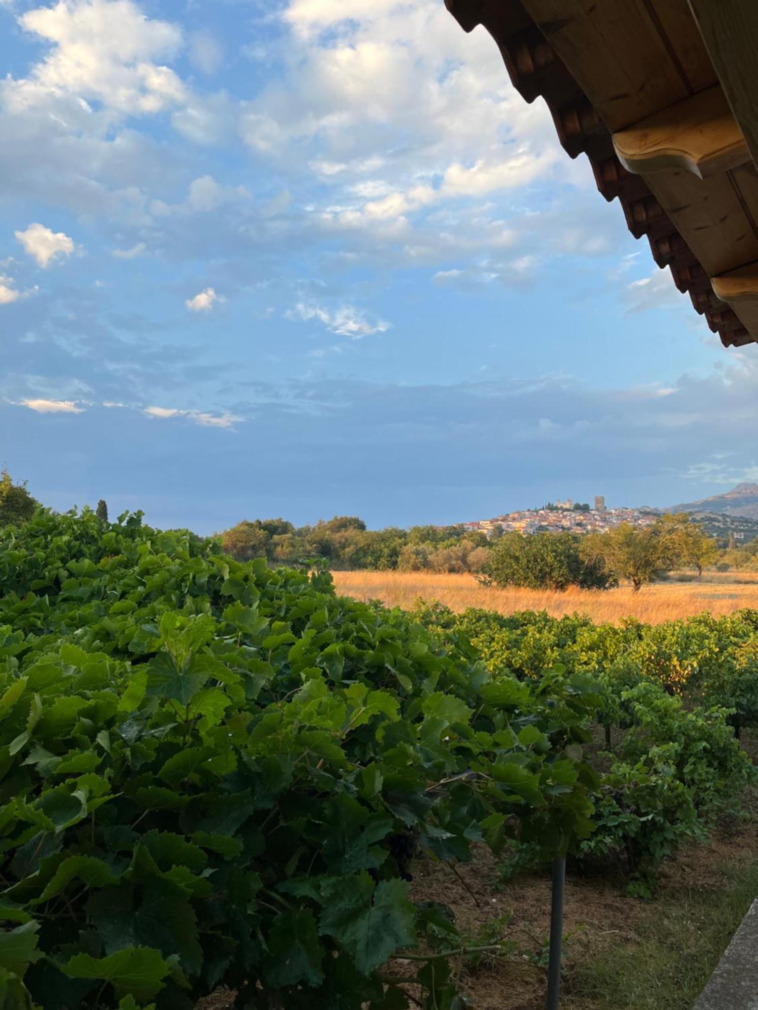 Gozzadini Vineyard! Holiday home *