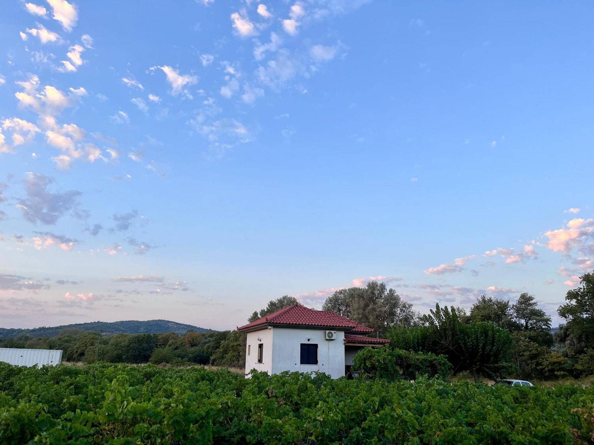 Gozzadini Vineyard! Casa vacanze Avlonarion
