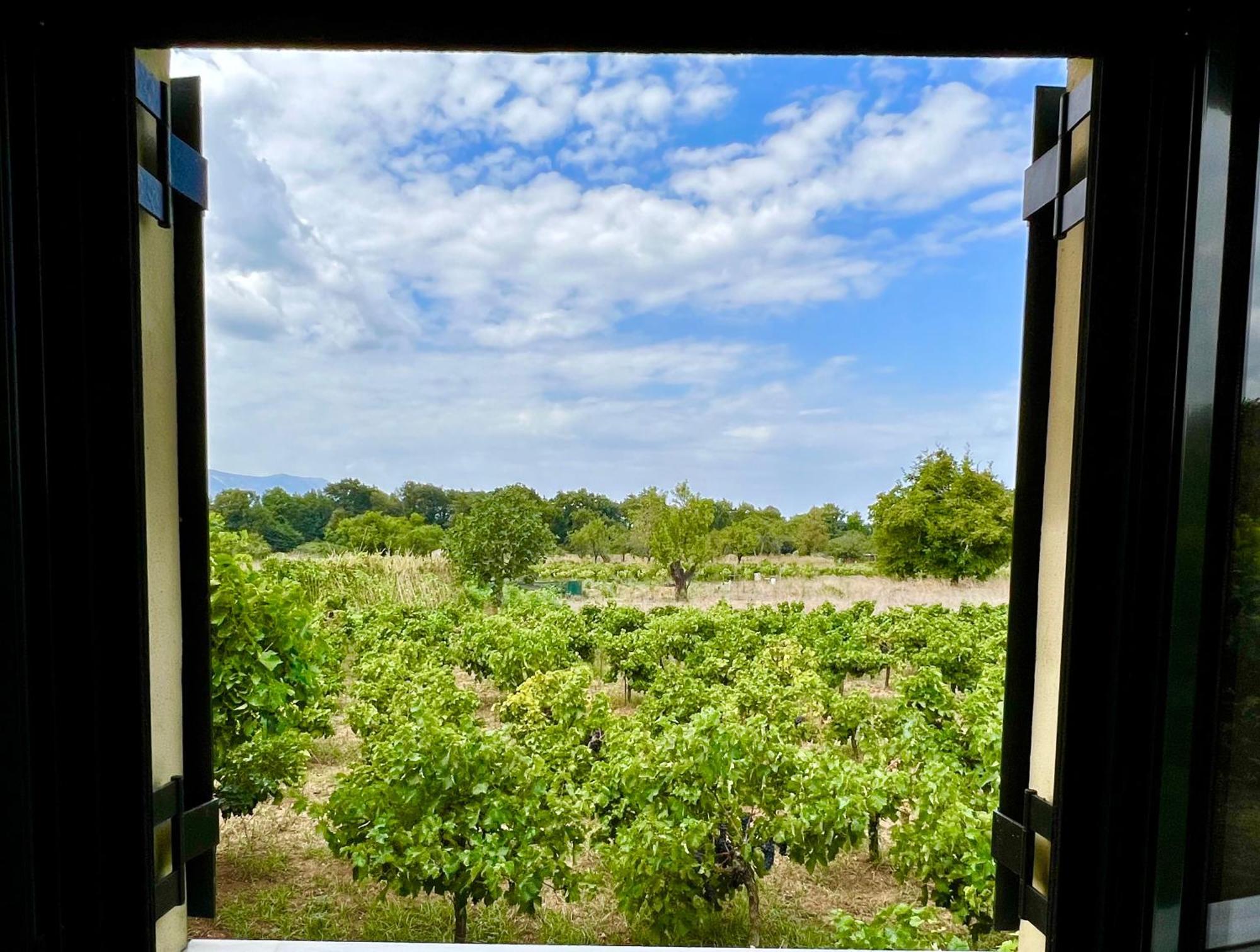 Casa vacanze Gozzadini Vineyard! *